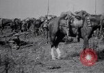 Image of Indian Cavalry France, 1918, second 12 stock footage video 65675029641