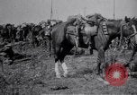 Image of Indian Cavalry France, 1918, second 13 stock footage video 65675029641