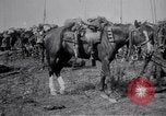 Image of Indian Cavalry France, 1918, second 14 stock footage video 65675029641