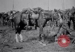 Image of Indian Cavalry France, 1918, second 15 stock footage video 65675029641