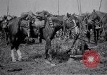 Image of Indian Cavalry France, 1918, second 16 stock footage video 65675029641