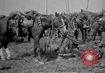 Image of Indian Cavalry France, 1918, second 17 stock footage video 65675029641