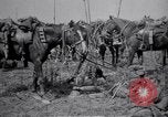 Image of Indian Cavalry France, 1918, second 18 stock footage video 65675029641