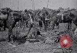 Image of Indian Cavalry France, 1918, second 19 stock footage video 65675029641