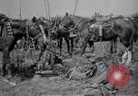 Image of Indian Cavalry France, 1918, second 20 stock footage video 65675029641
