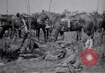 Image of Indian Cavalry France, 1918, second 21 stock footage video 65675029641