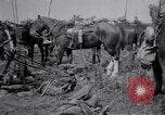 Image of Indian Cavalry France, 1918, second 23 stock footage video 65675029641