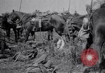 Image of Indian Cavalry France, 1918, second 24 stock footage video 65675029641