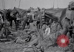 Image of Indian Cavalry France, 1918, second 26 stock footage video 65675029641