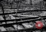Image of digging trench France, 1916, second 36 stock footage video 65675029645