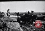 Image of British Infantry France, 1917, second 40 stock footage video 65675029650