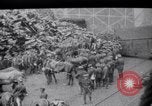 Image of Allied troops arriving France, 1917, second 43 stock footage video 65675029654