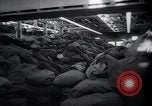 Standbild Neue Armee Post Operationen Zweiten Weltkrieg New York United States USA, 1944, aus Sekunde 38 historischem Filmmaterial Videoclip 65675029661