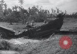 Standbild amerikanischen Flotte Leyte Gulf Philippinen, 1944, aus Sekunde 52 historischem Filmmaterial Videoclip 65675029662