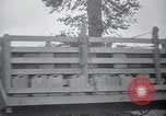 Image of Red Ball Express France, 1945, second 34 stock footage video 65675029665