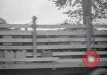 Image of Red Ball Express France, 1945, second 35 stock footage video 65675029665