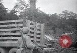 Image of Red Ball Express France, 1945, second 37 stock footage video 65675029665
