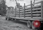 Image of Red Ball Express France, 1945, second 40 stock footage video 65675029665