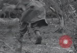 Image Fournitures pour front de guerre Normandie France, 1944, de la seconde 8 séquences d'archives historiques vidéo 65675029667