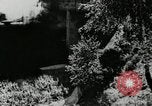 Image gare Allemagne, 1936, de la seconde 4 séquences d'archives historiques vidéo 65675029675