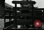 Image of Various Ford truck styles United States USA, 1932, second 46 stock footage video 65675029689