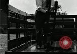Image of Various Ford truck styles United States USA, 1932, second 47 stock footage video 65675029689
