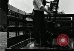 Image of Various Ford truck styles United States USA, 1932, second 48 stock footage video 65675029689
