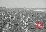 Image of drought United States USA, 1936, second 12 stock footage video 65675029715