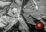 Image of drought United States USA, 1936, second 26 stock footage video 65675029715