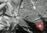 Image of drought United States USA, 1936, second 27 stock footage video 65675029715