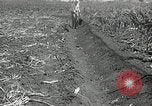 Image of drought United States USA, 1936, second 28 stock footage video 65675029715