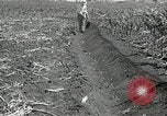 Image of drought United States USA, 1936, second 29 stock footage video 65675029715