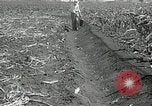 Image of drought United States USA, 1936, second 30 stock footage video 65675029715