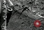 Image of drought United States USA, 1936, second 31 stock footage video 65675029715