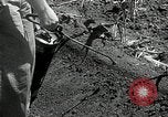 Image of drought United States USA, 1936, second 32 stock footage video 65675029715