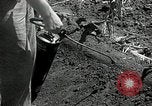 Image of drought United States USA, 1936, second 33 stock footage video 65675029715