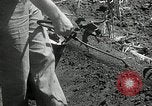 Image of drought United States USA, 1936, second 34 stock footage video 65675029715
