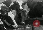 Image of drought United States USA, 1936, second 55 stock footage video 65675029715