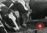 Image of drought United States USA, 1936, second 56 stock footage video 65675029715
