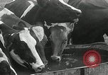Image of drought United States USA, 1936, second 57 stock footage video 65675029715