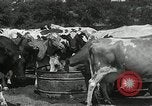 Image of drought United States USA, 1936, second 60 stock footage video 65675029715