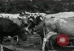 Image of drought United States USA, 1936, second 61 stock footage video 65675029715