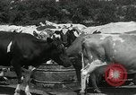 Image of drought United States USA, 1936, second 62 stock footage video 65675029715