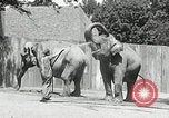 Image of zoo Washington DC USA, 1936, second 7 stock footage video 65675029716