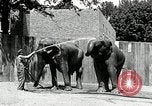 Image of zoo Washington DC USA, 1936, second 15 stock footage video 65675029716