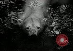 Image of zoo Washington DC USA, 1936, second 27 stock footage video 65675029716