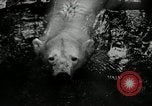 Image of zoo Washington DC USA, 1936, second 30 stock footage video 65675029716
