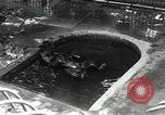 Image of zoo Washington DC USA, 1936, second 34 stock footage video 65675029716