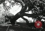 Standbild Twister die Zerstörung Orleans County New York USA, 1936, aus Sekunde 29 historischem Filmmaterial Videoclip 65675029719