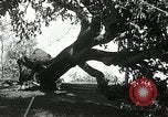 Standbild Twister die Zerstörung Orleans County New York USA, 1936, aus Sekunde 30 historischem Filmmaterial Videoclip 65675029719